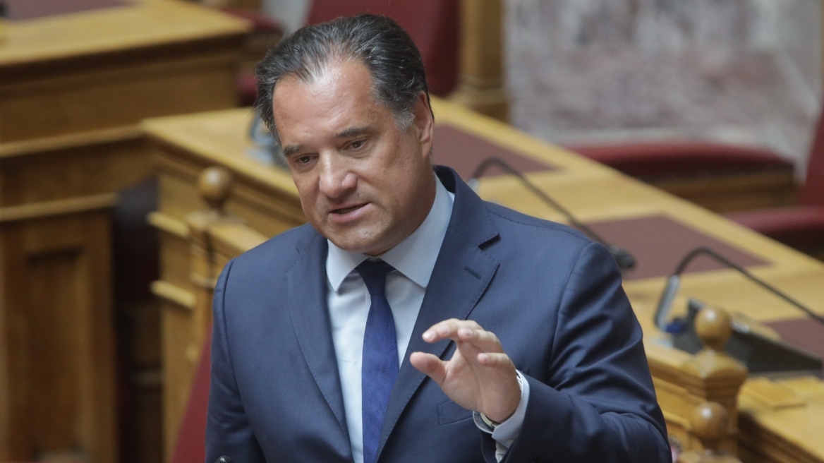 Α. Γεωργιάδης: Δεν μπορεί να λέει το ΠΑΣΟΚ ότι οι δικοί του άνθρωποι δεν κατάλαβαν πώς τα δηλωθέντα πρόβατα από 2 εκατ. πήγαν στα 8
