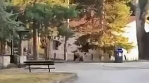 Καστοριά: Αρκούδα εμφανίστηκε σε αυλή σχολείου - ΒΙΝΤΕΟ