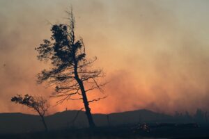 Αττική: Πέντε άτομα στο νοσοκομείο λόγω της φωτιάς