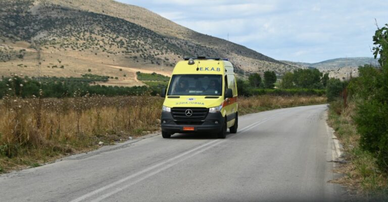 Η τιτάνια μάχη του ΕΣΥ για να σωθεί ο 15χρονος με θερμοπληξία: Από το Μέτσοβο στην Ιταλία για μεταμόσχευση ήπατος