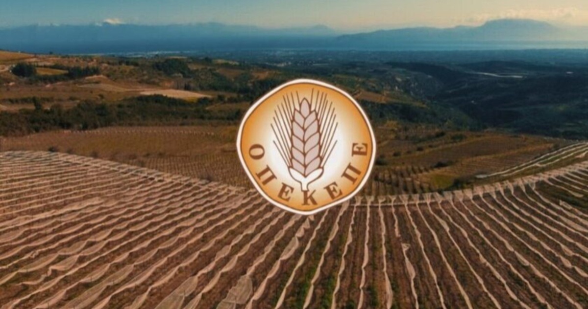 ΟΠΕΚΕΠΕ: Ένοχοι κρίθηκαν οι επτά κατηγορούμενοι για τις παράνομες επιδοτήσεις σε περιοχές του Γράμμου