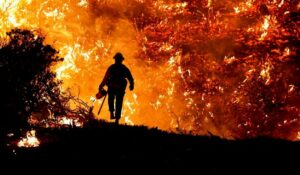 Τρεις μεγάλες δασικές πυρκαγιές σε εξέλιξη στην Πορτογαλία - Σε κατάσταση συναγερμού ολόκληρη η χώρα