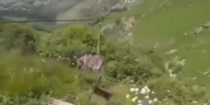 Σάλος με βίντεο: Έβαλαν τρομαγμένο γαϊδουράκι σε zipline για διασκέδαση