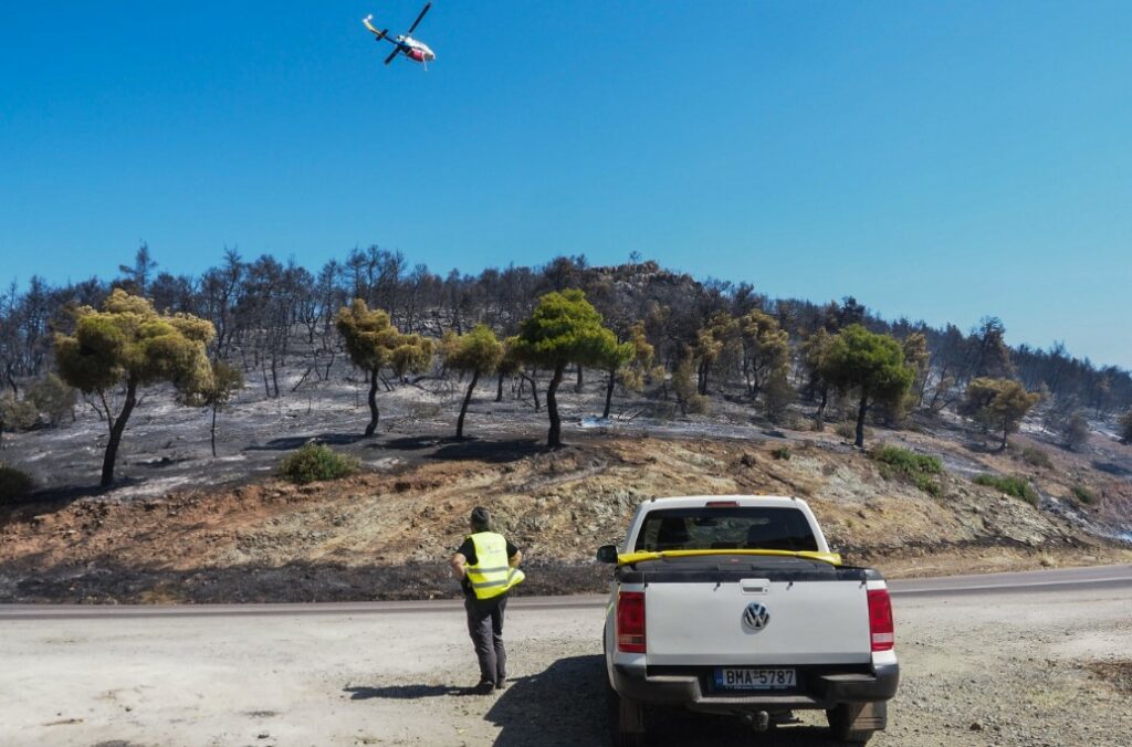 Προσήχθησαν 8 ανήλικοι με τους γονείς τους για εμπρησμούς στην Εύβοια