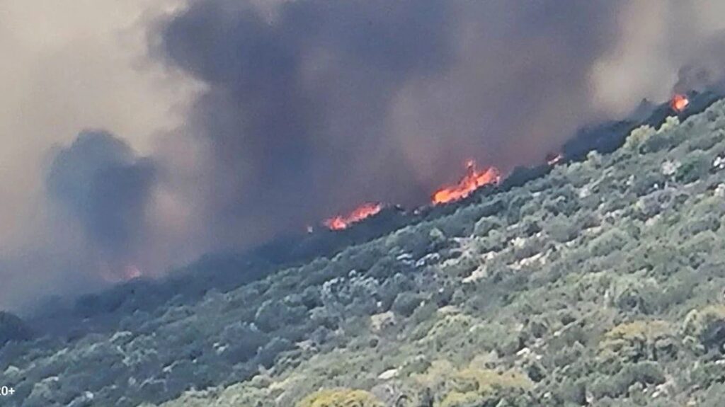 Φωτιά τώρα στην Κερατέα - Μήνυμα 112 για εκκένωση των περιοχών Δροσιά και Χάρβαλο, δείτε βίντεο