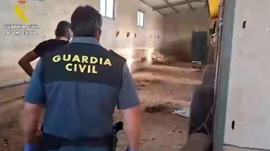 Τουλάχιστον 32 σκυλιά βρέθηκαν νεκρά σε αγρόκτημα στην Ισπανία - Τα είχαν παρατήσει χωρίς νερό μήνες