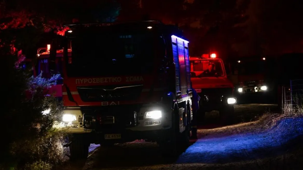 Φωτιά ξέσπασε σε δασική έκταση στην περιοχή Ρούτσι στην Αρκαδία