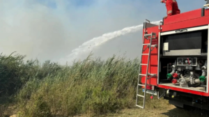 Αλβανία: Μάχη με τις φλόγες στα νότια της χώρας - Ενισχύει με δύο αεροσκάφη η Ελλάδα