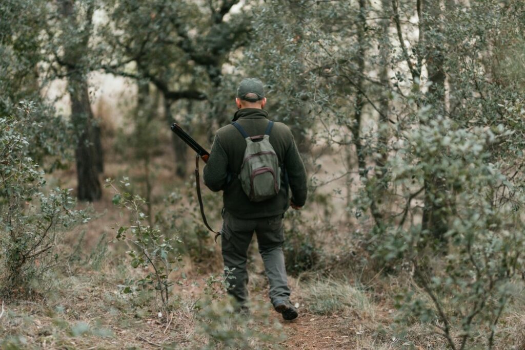 Κυνηγετική περίοδος: Πότε ξεκινά - Τι επιτρέπεται και τι όχι