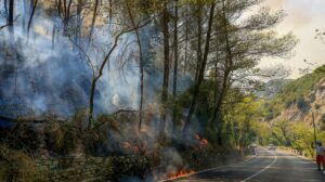 Μαίνονται ανεξέλεγκτες οι φωτιές στα μειονοτικά χωριά της Αλβανίας - Απειλούνται εγκαταστάσεις υγραερίου, δείτε βίντεο