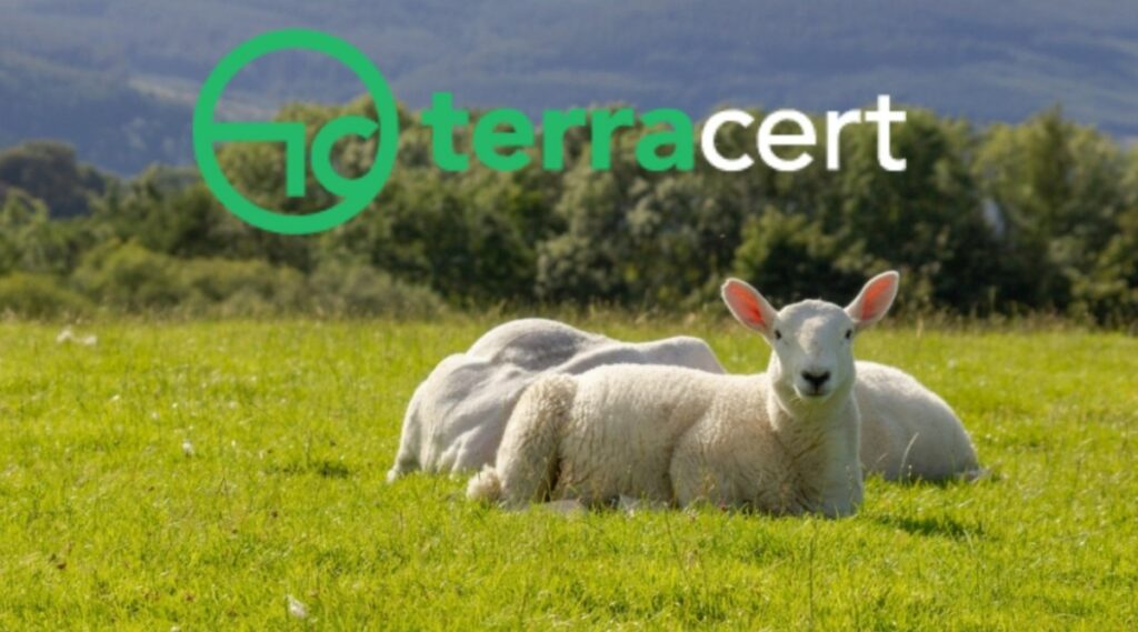 Terra Cert: Προσφυγή στη Δικαιοσύνη μετά την απόφαση αναστολής του ΕΣΥΔ