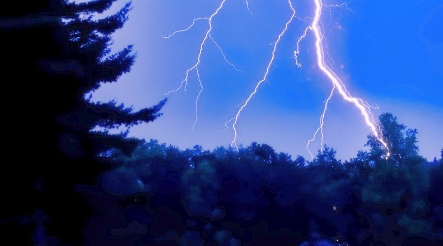 Κεραυνοί στα δέντρα