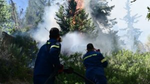 Το νέο όπλο κατά των εμπρηστών: Πώς οι διωκτικές αρχές «δένουν» τις υποθέσεις, γιατί οδηγούνται στη φυλακή οι κατηγορούμενοι