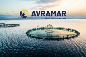 «Εμφύλιος πόλεμος» στην Avramar – Κόντρα μεταξύ μητρικής και ελληνικής θυγατρικής