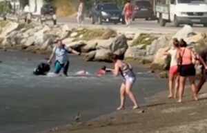 Σκιάθος: Τουρμπίνες αεροπλάνου εκτόξευσαν τις βαλίτσες τουριστών στη θάλασσα - ΒΙΝΤΕΟ