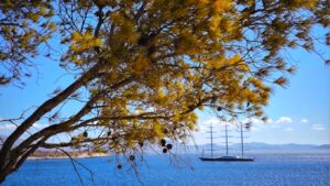 Καιρός: Ο εμποδιστής Ρέξ φέρνει την πρώτη φθινοπωρινή κακοκαιρία