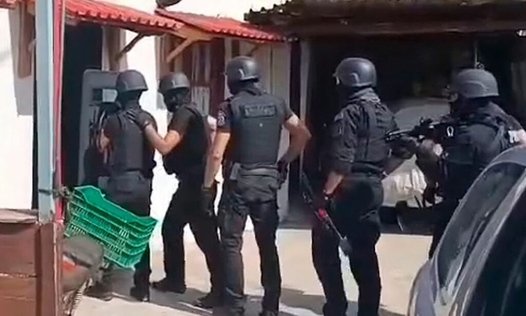 Θεσσαλονίκη: Βίντεο από τη στιγμή της σύλληψη 62χρονου από ενόπλους των ΟΠΚΕ για παράνομη υλοτομία