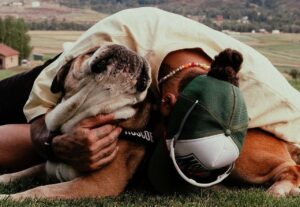 Πέθανε ο σκύλος του Λιούις Χάμιλτον: «Έχασα τον καλύτερό μου φίλο – Είναι μια από τις πιο οδυνηρές εμπειρίες»