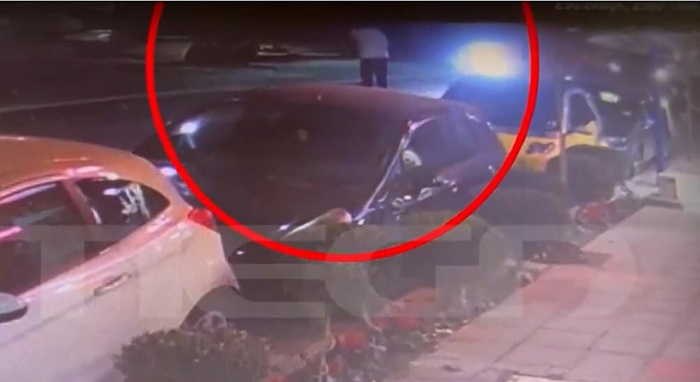 251030202946_parasyrsi