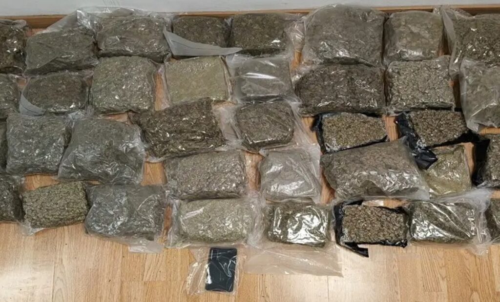 251031101003_kannavi-elas3