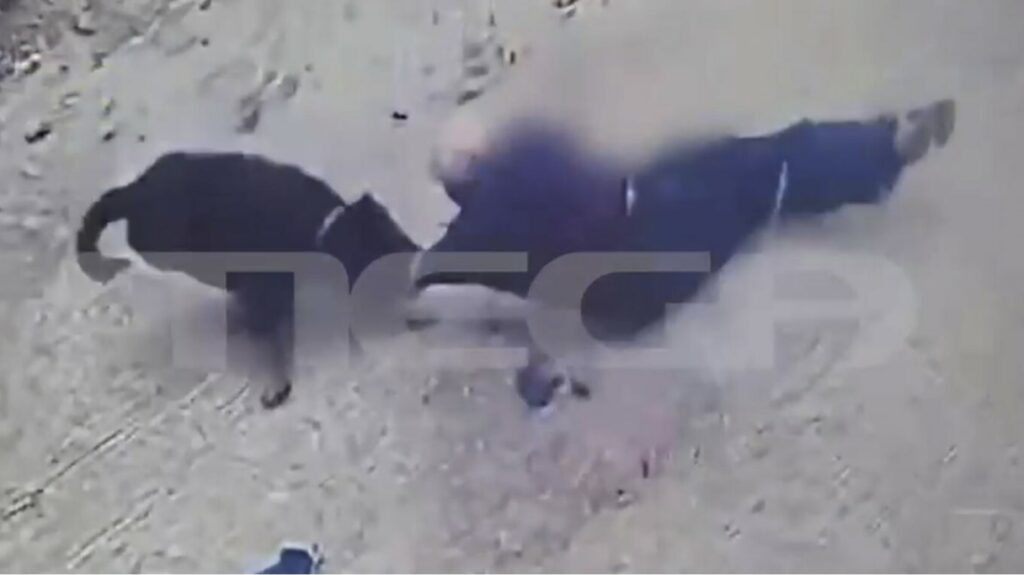 Καλαμάτα: Ροτβάιλερ κατασπάραξε τον κηδεμόνα του – Σοκαριστικό βίντεο