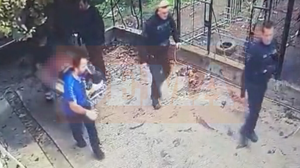 Αστυνομικοί πυροβόλησαν και σκότωσαν το ζώο για να τον απεγκλωβίσουν από τα δόντια του