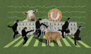 Συναγερμός έχει σημάνει στο Μαξίμου ενόψει του δεύτερου γύρου αποκαλύψεων για τον ΟΠΕΚΕΠΕ