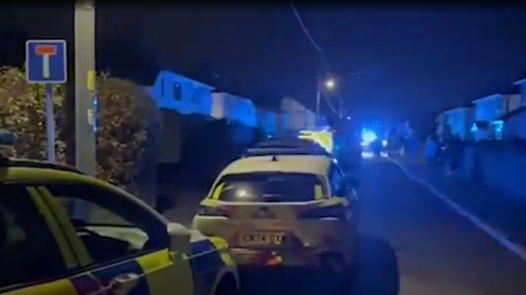 Βρετανία: Έχασε τη ζωή του μωρό 9 μηνών στην Ουαλία από επίθεση σκύλου