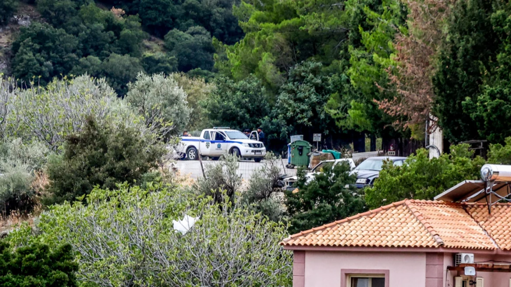 251104180148_vorizia__16_