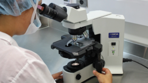 Εντοπίστηκε επιθετικός ιός πολιομυελίτιδας σε λύματα στη Γερμανία - Συναγερμός στη χώρα