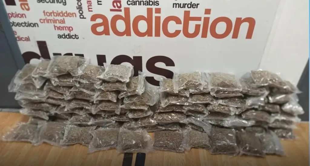 Βρέθηκαν με 44 κιλά κάνναβη στο αεροδρόμιο Ελευθέριος Βενιζέλος, δύο συλλήψεις – Δείτε φωτογραφίες