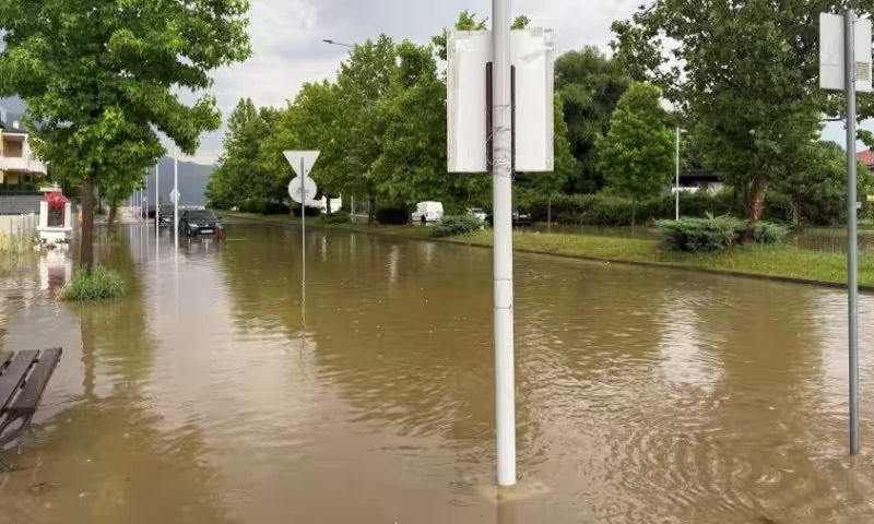 251122112232_IMG_2571