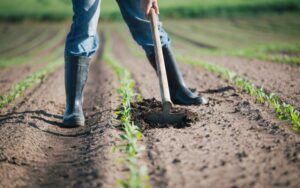 ελλαδα τροφιμα