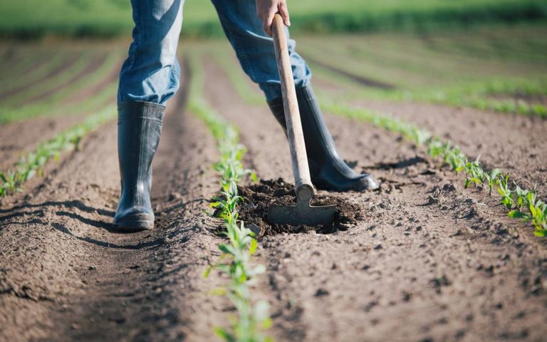 ελλαδα τροφιμα