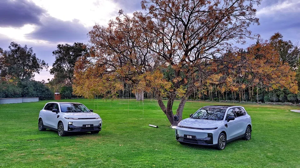 251124110214_03d639e5-a827-4dbf-a3dd-417b66f2c13d