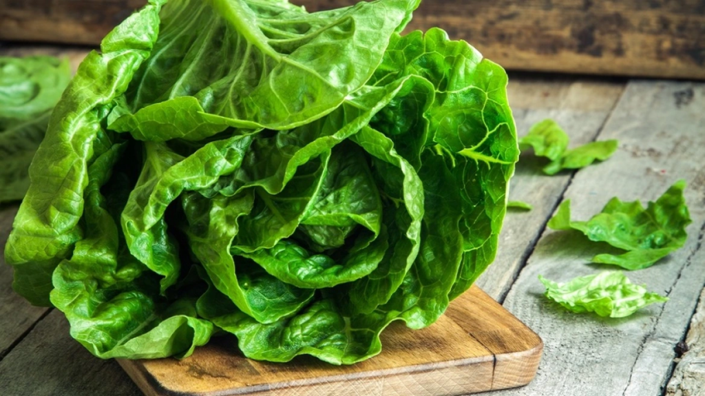 ΗΠΑ: Ναρκωτικά αξίας 10 εκατ. δολαρίων εντόπισαν μέσα σε μαρούλια στα σύνορα με το Μεξικό