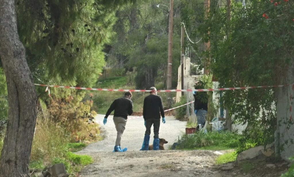 Σαλαμίνα: Η 46χρονη άλλαξε φορά στις κάμερες, αλλά ξέχασε να κλείσει τα μικρόφωνα - Τα στοιχεία που την πρόδωσαν