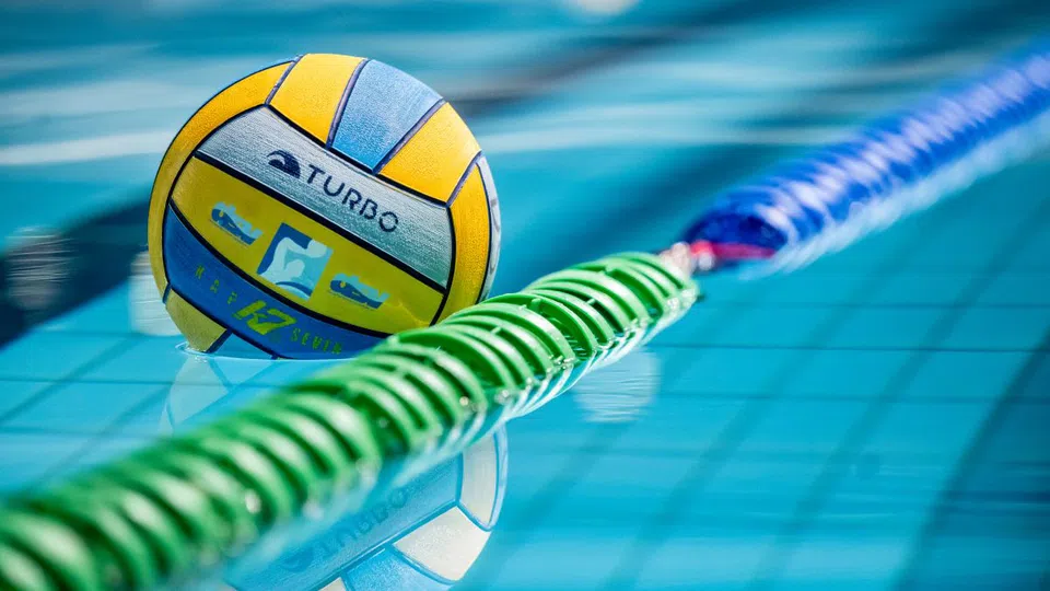 251130203431_911b1f82-ad9e-4fd6-b5e5-242f8d25b6e5