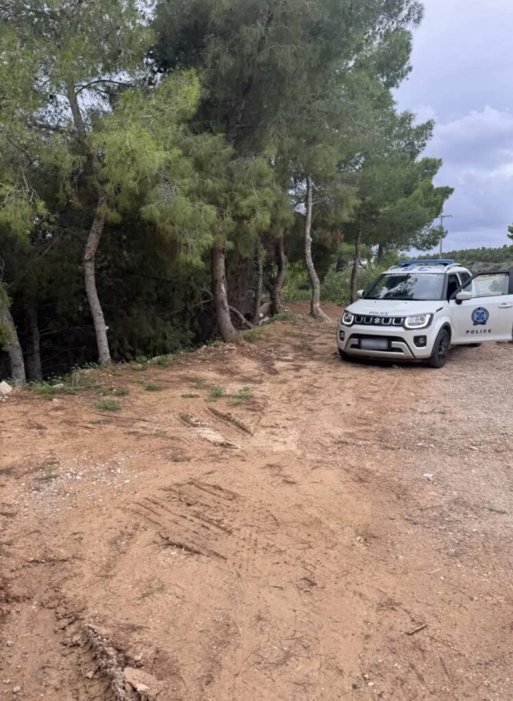 251206164626_spetses3