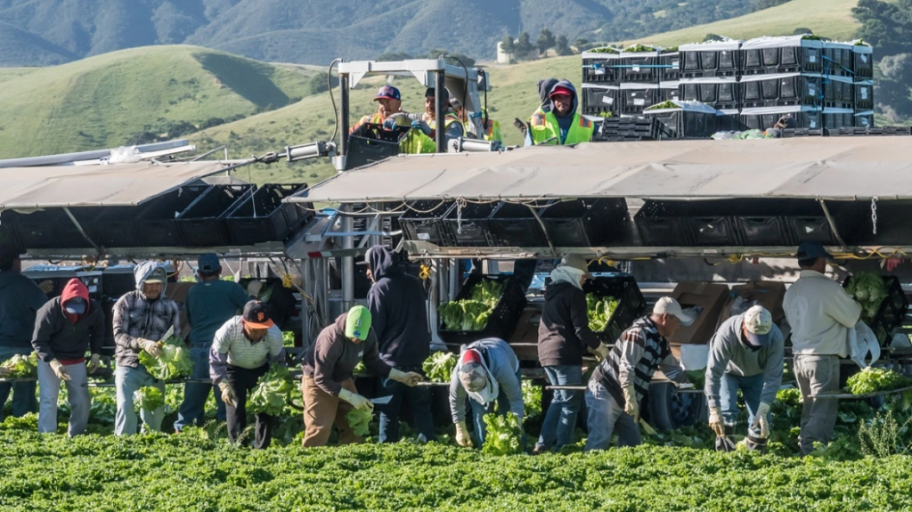 Ο Ντόναλντ Τραμπ ανακοίνωσε πακέτο στήριξης 12 δισ. δολαρίων για τους αγρότες - Απλά σωσίβιο απαντούν