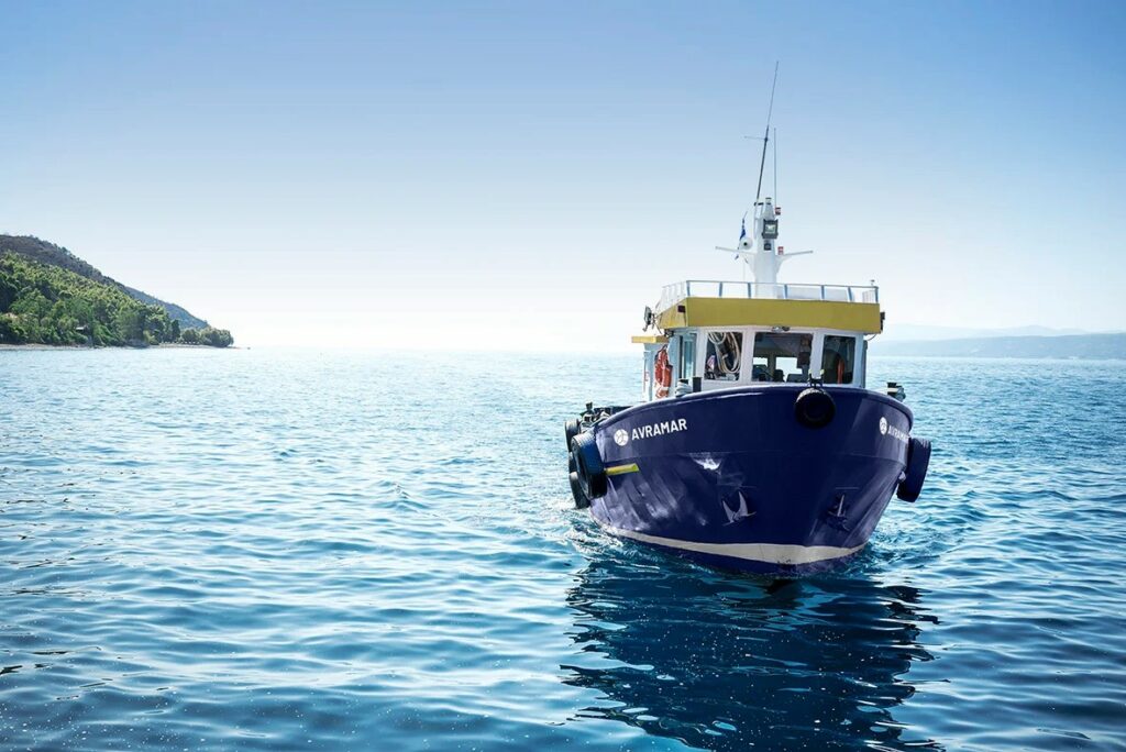 To «σίριαλ» στην Avramar συνεχίζεται: Η νέα προσφορά της Cooke, η στάση των τραπεζών και τα εξώδικα της Amerra