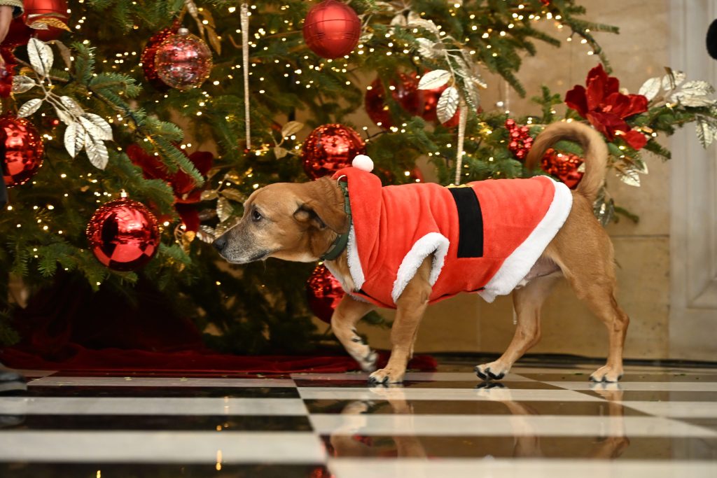 251224150940_4963733-1024×683 (1)