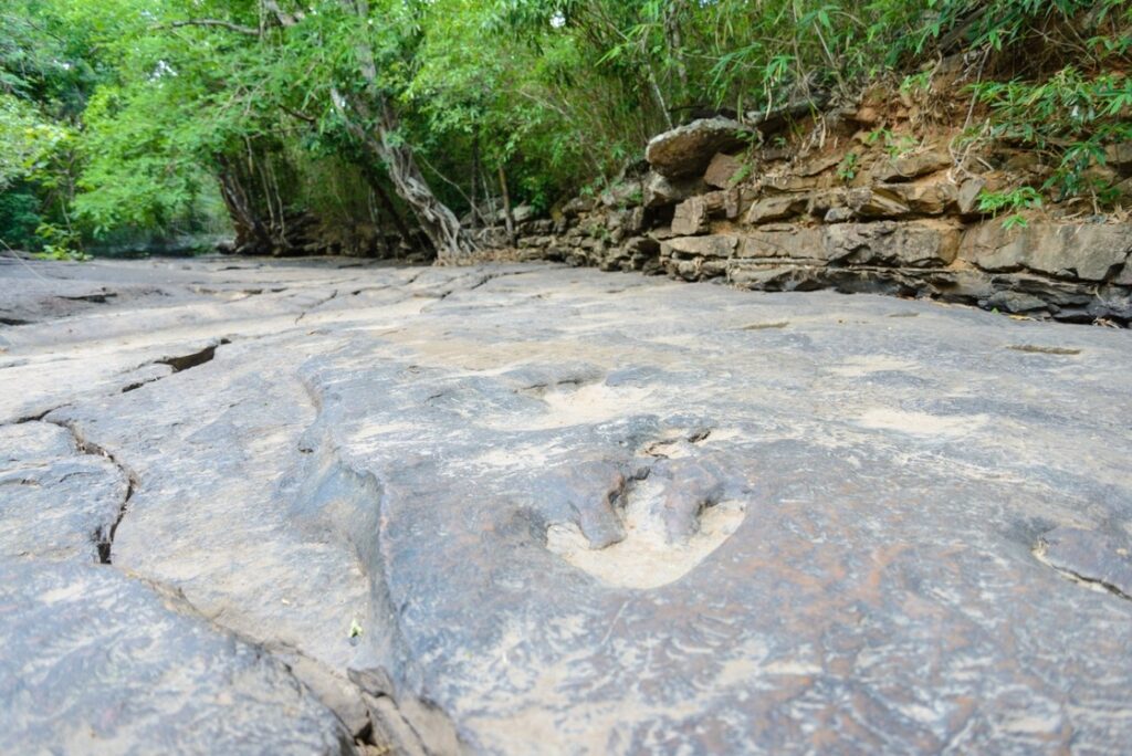 Αποτυπώματα δεινοσαύρων 210 εκατ. ετών ανακαλύφθηκαν στην Ιταλία