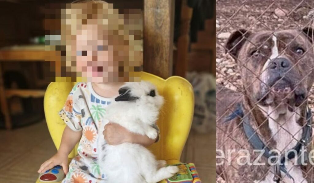 251212095211_instanews_2025-12-12_08-47-52_912880-scaled