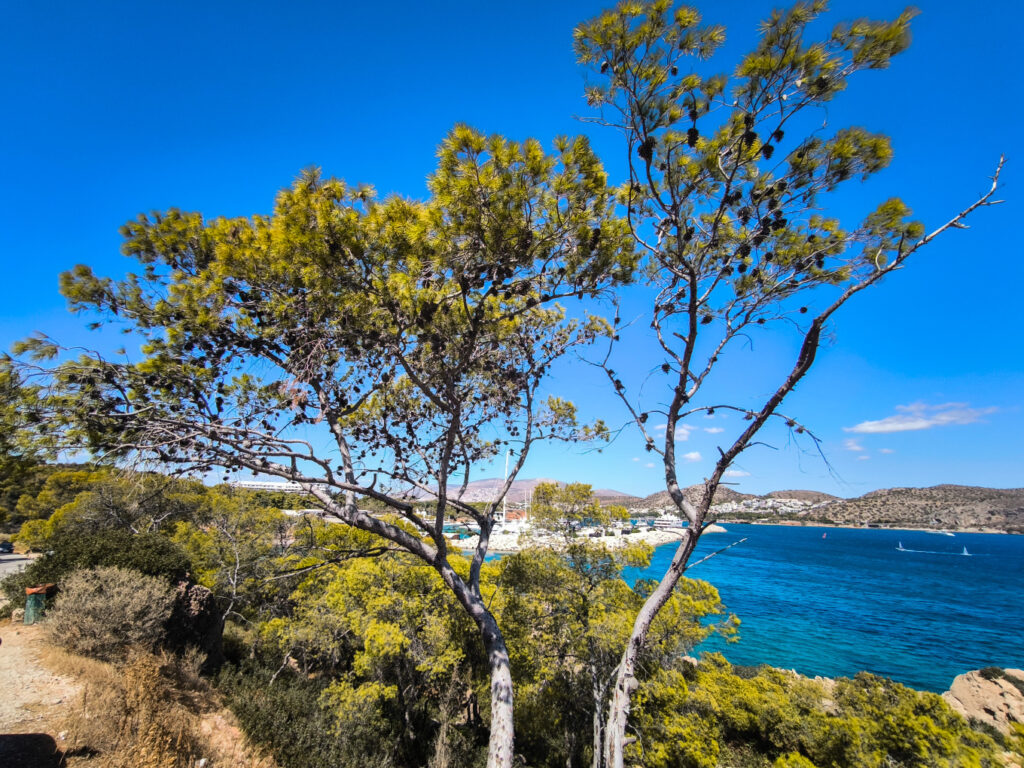 Καιρική ανασκόπηση 2025: 9 στους 12 μήνες είχαν θερμοκρασίες υψηλότερες από το κανονικό
