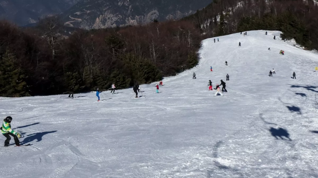 χιονοδρομικα