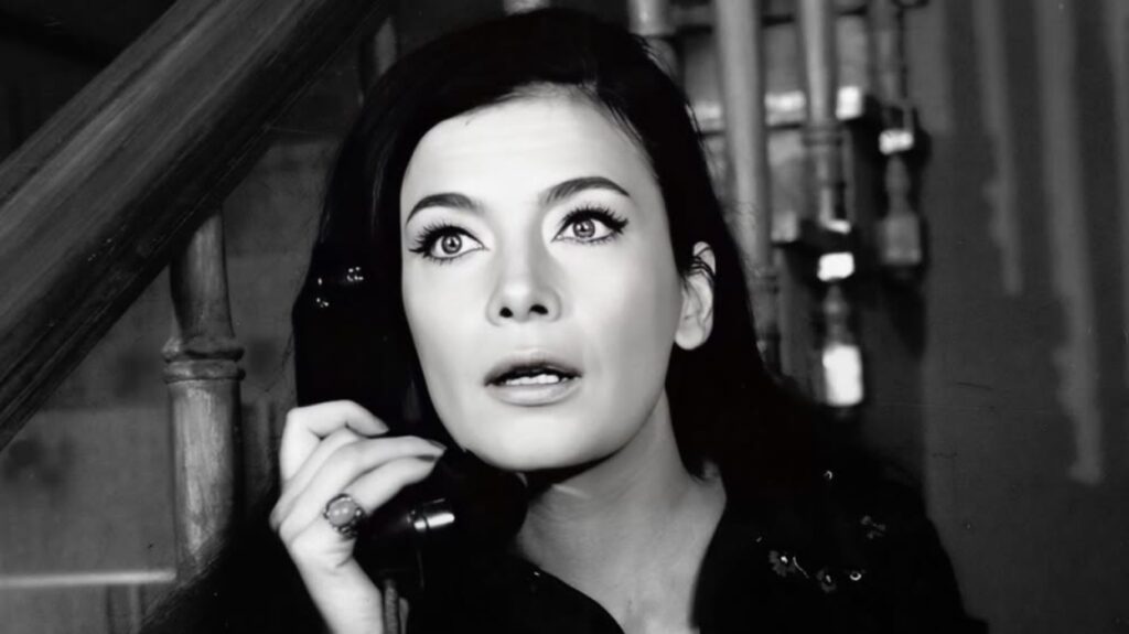 260113103955_tzeni_karezi_2