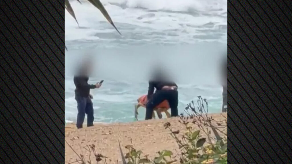 Συνελήφθησαν οι υπάλληλοι που κλωτσούσαν και πετούσαν το κουφάρι θαλάσσιας χελώνας στην Κύπρο