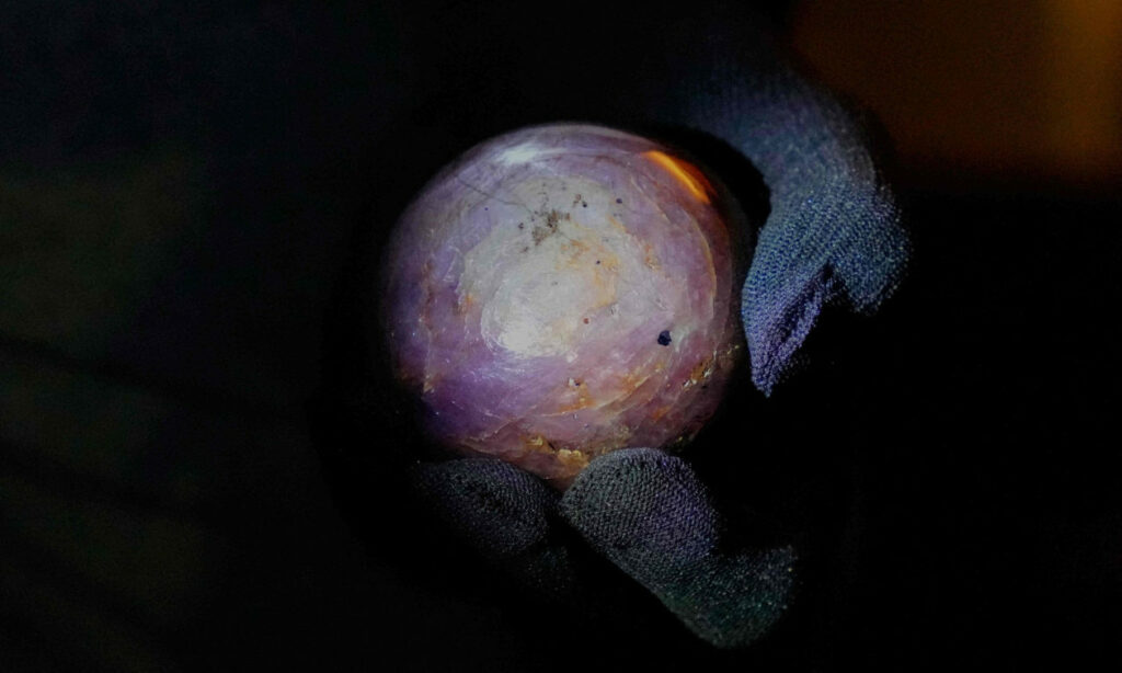 260118145639_29319ac7-ap26017475242287