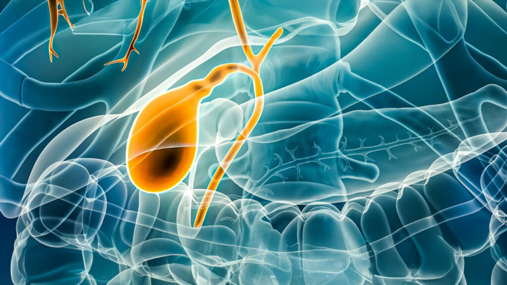 260119154142_kisti-xrm